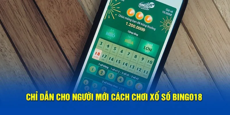 Chỉ dẫn cho người mới cách chơi xổ số Bingo18 