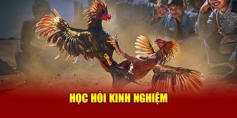 Học hỏi kinh nghiệm