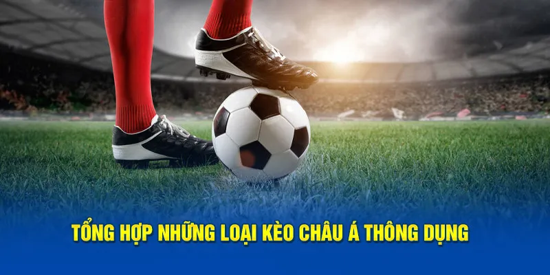 Tổng hợp những loại kèo châu Á thông dụng 